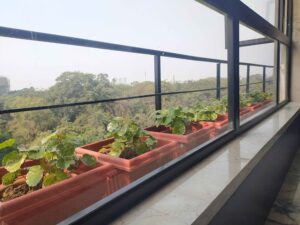 commercial properties 1