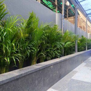 commercial properties 2